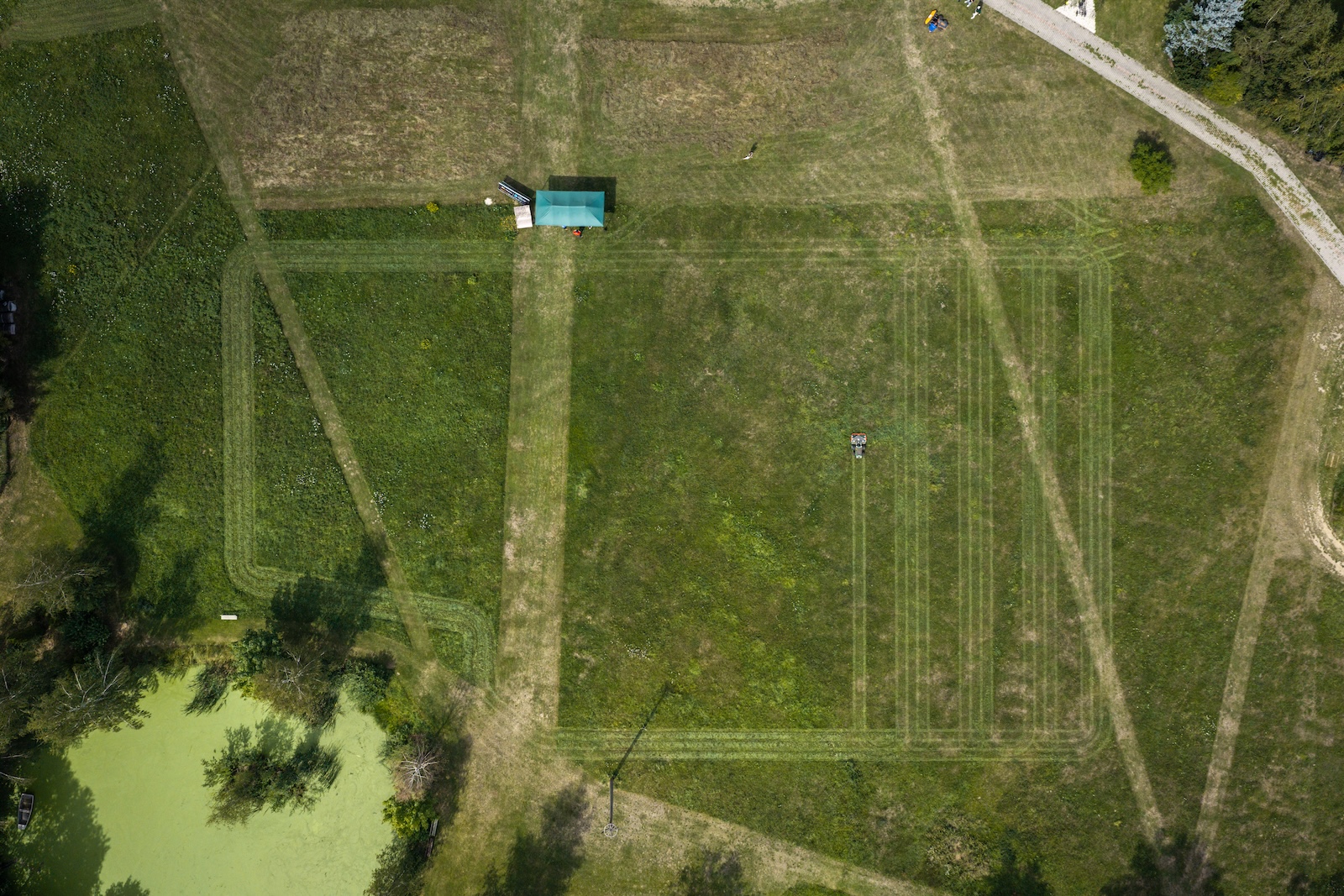 Top-down aerial view of the demo meadow with mowing patterns