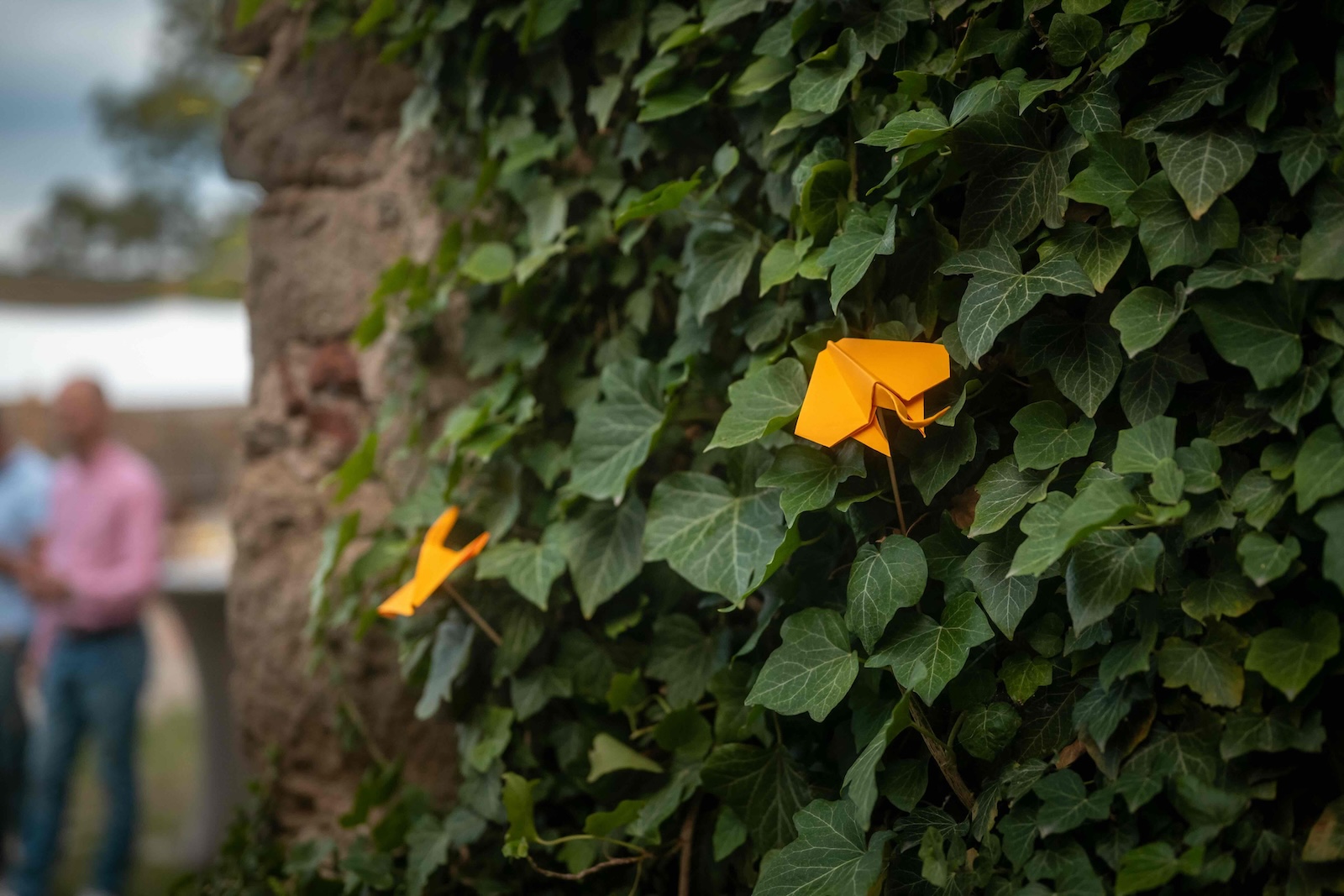 Orange paper origami decorations pinned into the ivy on the castle wall